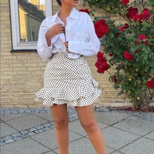Sold❗️Zara polka dot skirt NEVER WORN